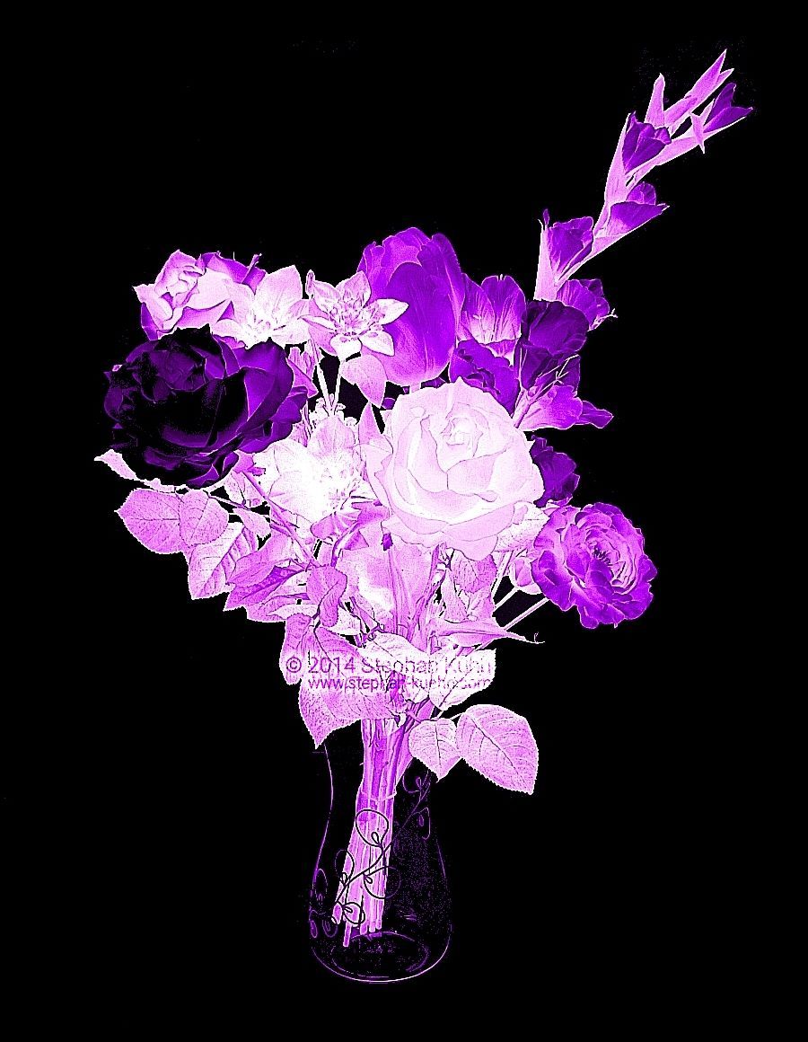 Blumen Flowers copyright &copy; 2014 Stephan Kuehn